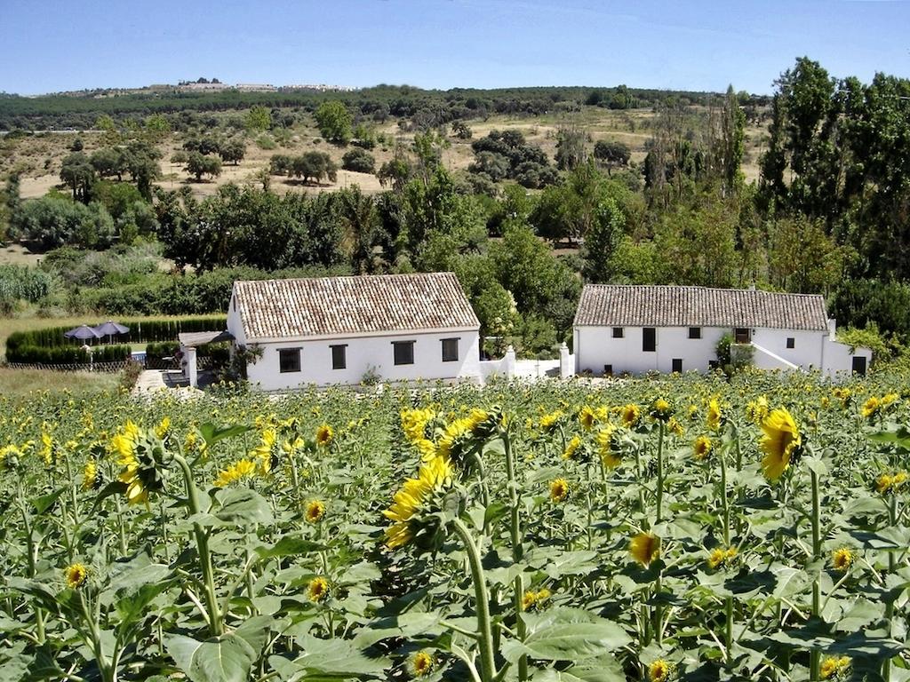 Holiday Home Finca Retama Ронда Номер фото