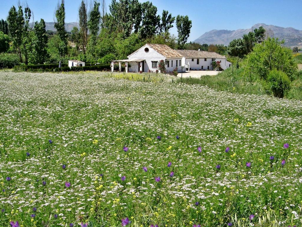 Holiday Home Finca Retama Ронда Экстерьер фото