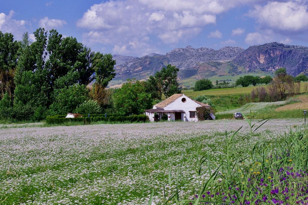 Holiday Home Finca Retama Ронда Экстерьер фото