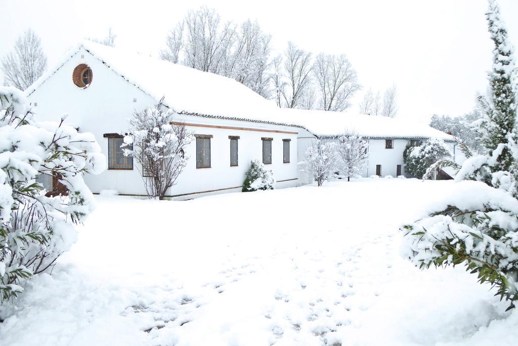 Holiday Home Finca Retama Ронда Экстерьер фото